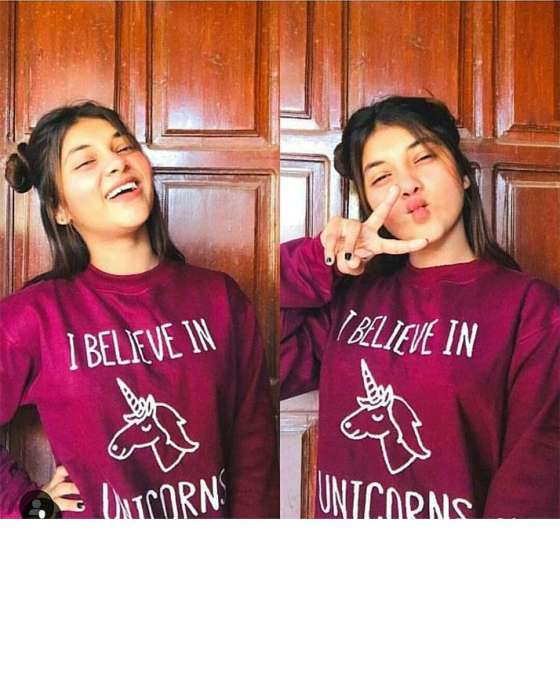 MAROON I BELIEVE IN UNICORN SWEATSHIRT FOR WOMEN - AceCart Warm Hooded Sweatshirt in Maroon